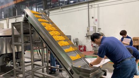 1. Nastro trasportatore a Alimentatore Vibrante